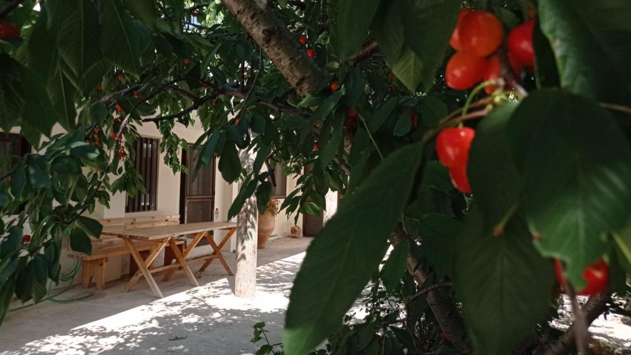Villatzer - Traditional House With Fireplace And Garden Tzermiadon ภายนอก รูปภาพ